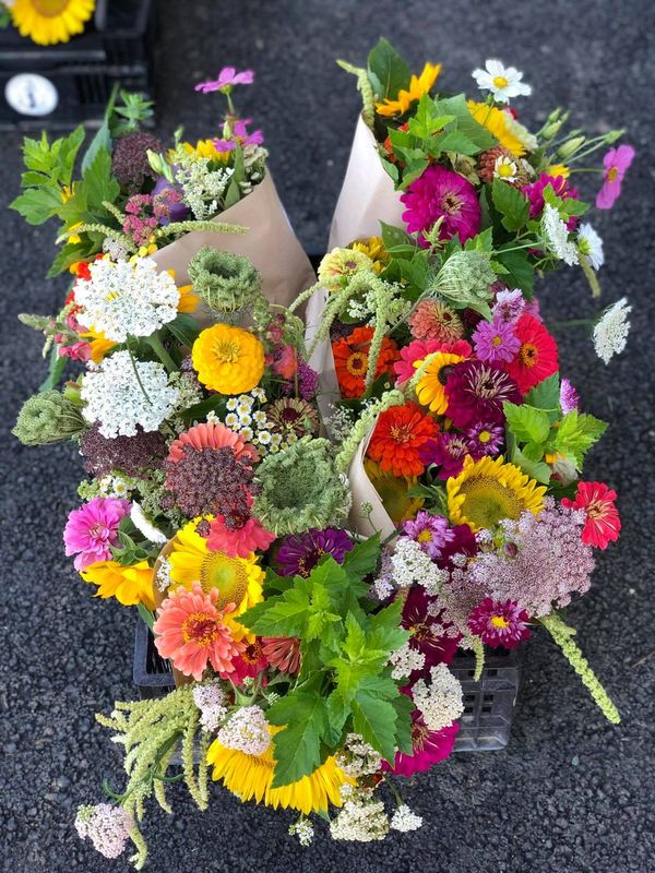 Wrapped Bouquet Pre-Order