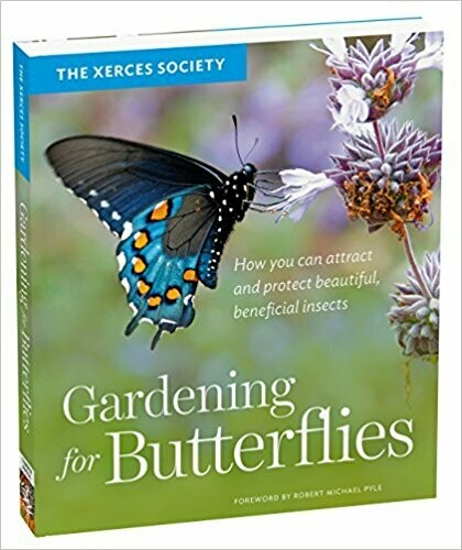 Gardening For Butterflies
