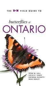 Butterflies Of Ontario