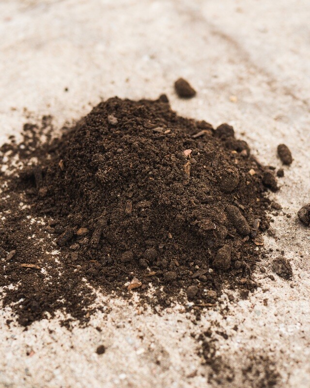 Store — Farm Products — Ontario Native Plant Nursery | Container Grown