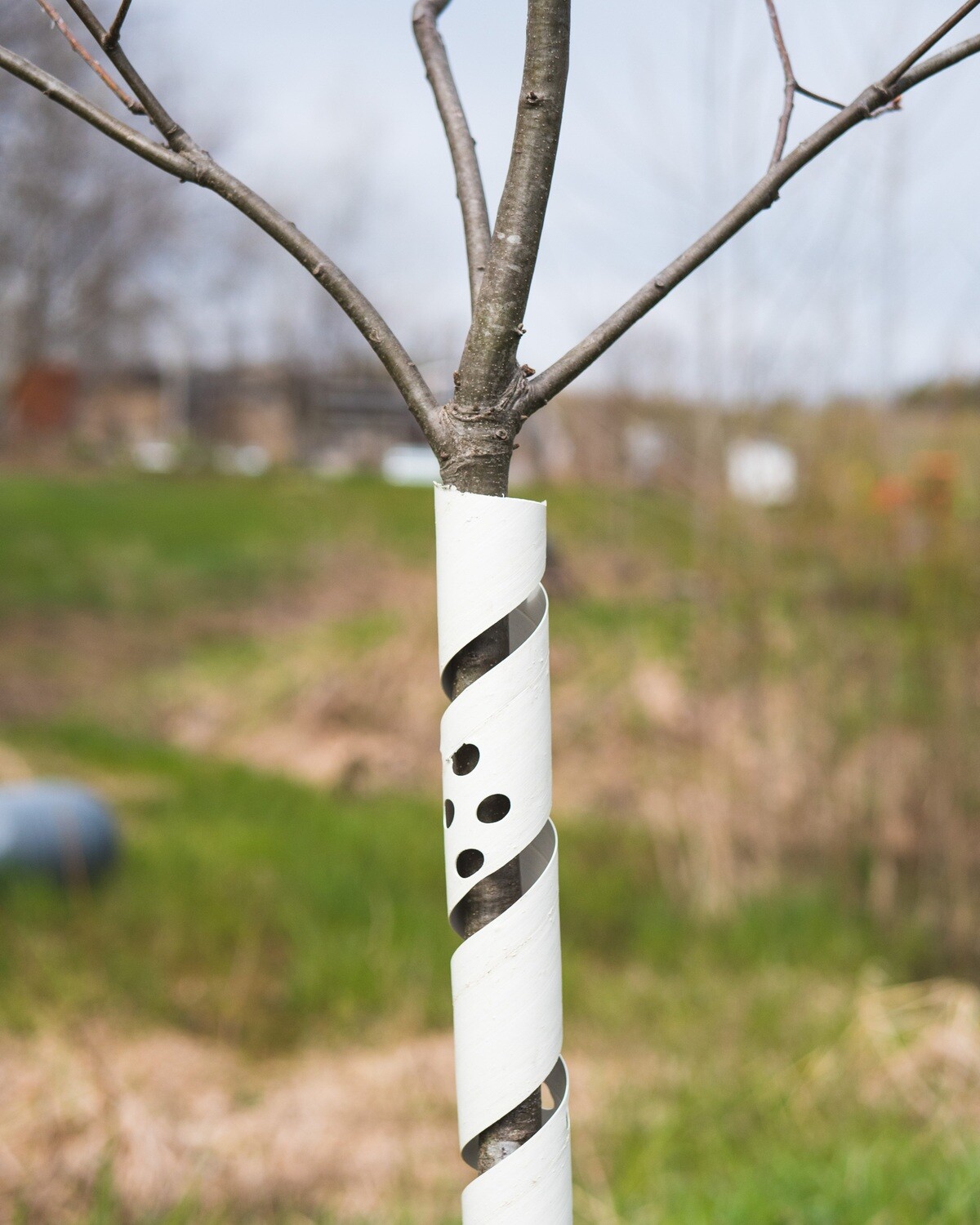 Tree Protection Wrap