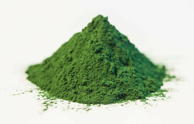 Chlorella en polvo eco