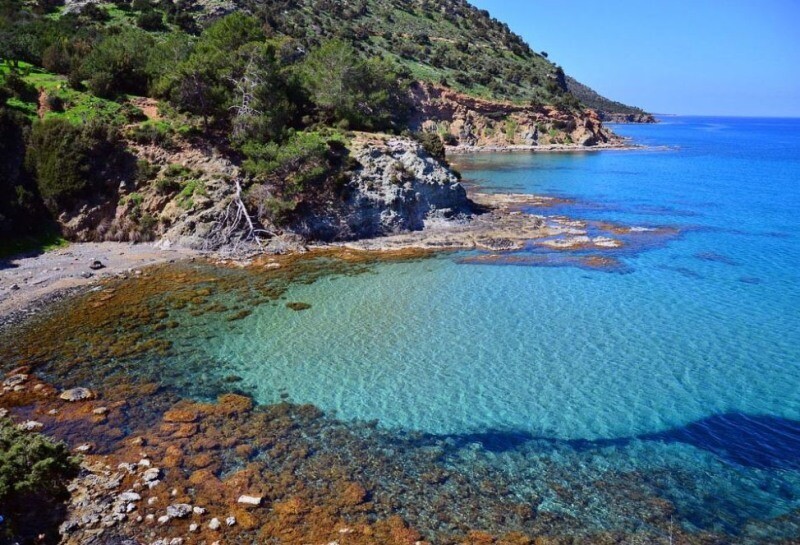 Akamas Private Jeep Safari from Larnaca