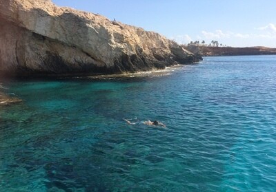 Guided Snorkelling 3 hour Trips Ayia Napa and Protaras