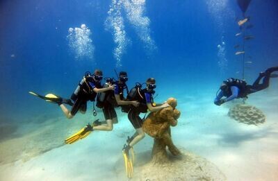 Discover Turtle Bay Scuba Dive for Beginners from Ayia Napa Protaras