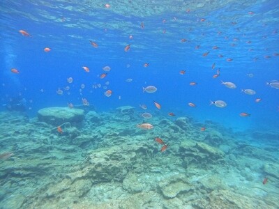 MUSAN plus Green Bay Snorkelling from Ayia Napa Protaras