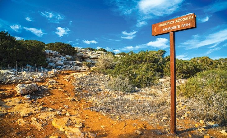 Cape Greco 10km Walk Private Guided Trip from Larnaca