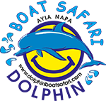 Dolphin Boat safari