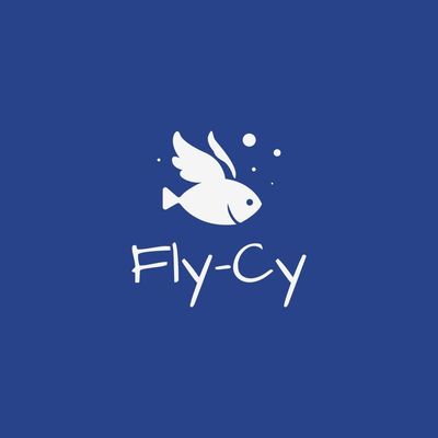 Fly Cyprus