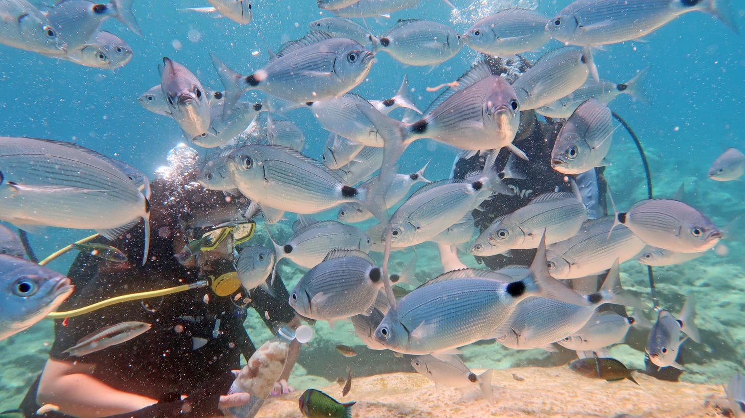 Underwater Proposal Package Protaras