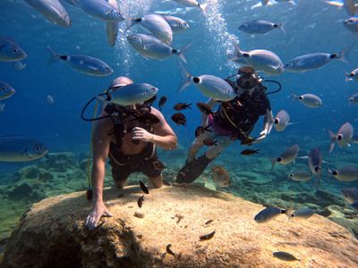 Underwater Proposal Package Protaras