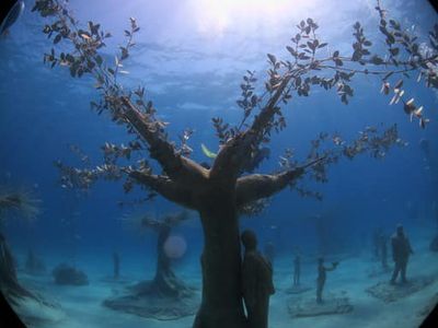 MUSAN Snorkelling trip from Protaras Ayia Napa