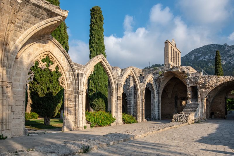 Bellapais Abbey Private Tour from Larnaca