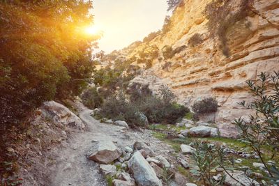 Avakas Gorge Hike Private Tour from Larnaca Avakas Gorge Hike Private Tour from Larnaca