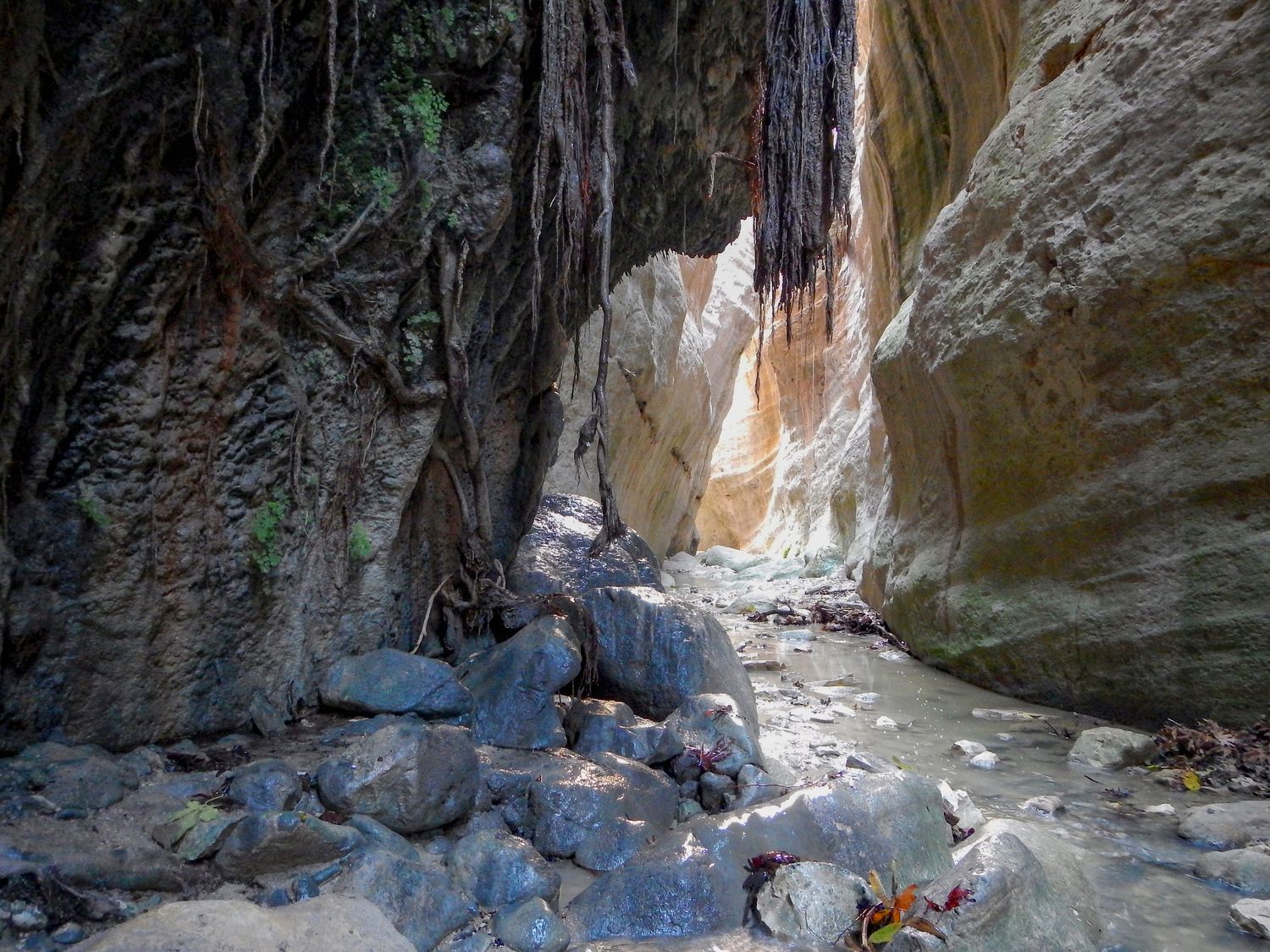 Avakas Gorge and Aphrodite's Rock Private Tour from Ayia Napa Protaras