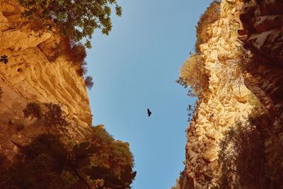 Avakas Gorge and Adonis Baths Private Tour from Ayia Napa Protaras