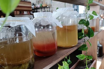 Private Kombucha Making Workshop Larnaca Private Kombucha Making Workshop Larnaca