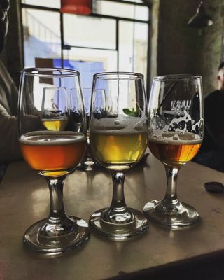 Private Craft Beer Tasting Larnaca