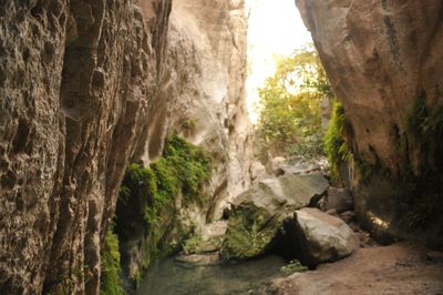 Avakas Gorge and Aphrodite's Rock Private Tour from Larnaca Avakas Gorge and Aphrodite's Rock Private Tour from Larnaca