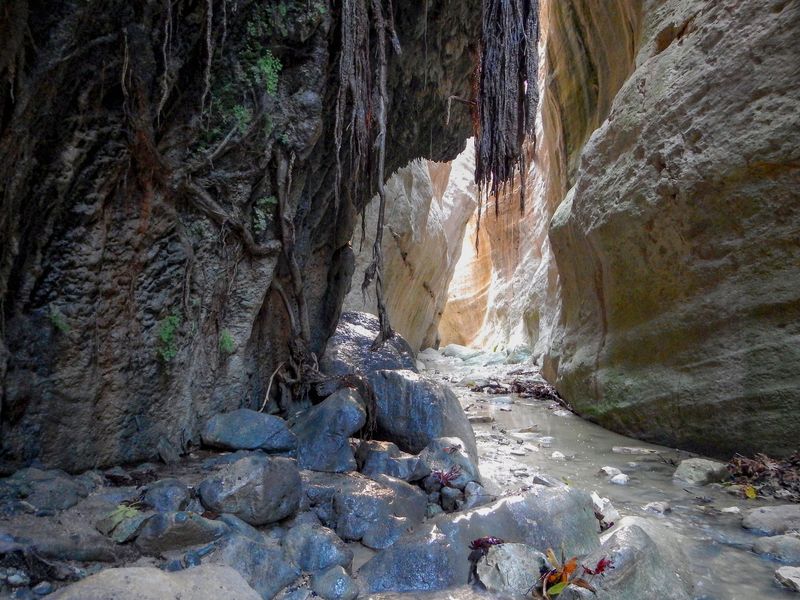 Avakas Gorge and Aphrodite's Rock Private Tour from Ayia Napa Protaras