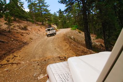Jeep Safari