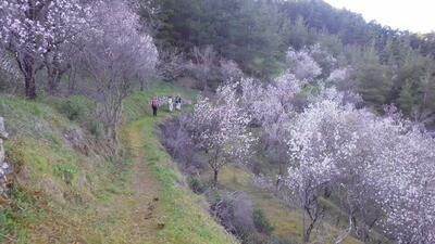 Nature and Eco Tours