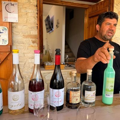 Vino Venture Wineries Tour with meze lunch from Ayia Napa Protaras