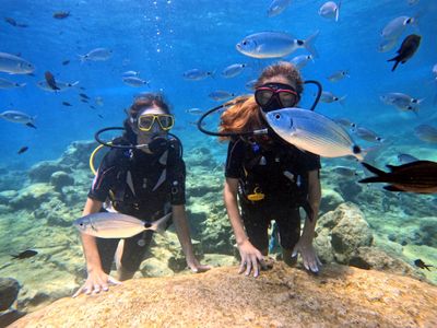 Discover Scuba Diving Protaras Discover Scuba Diving Protaras