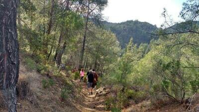 Kakopetria Village and Troodos Walking Tour from Ayia Napa Protaras