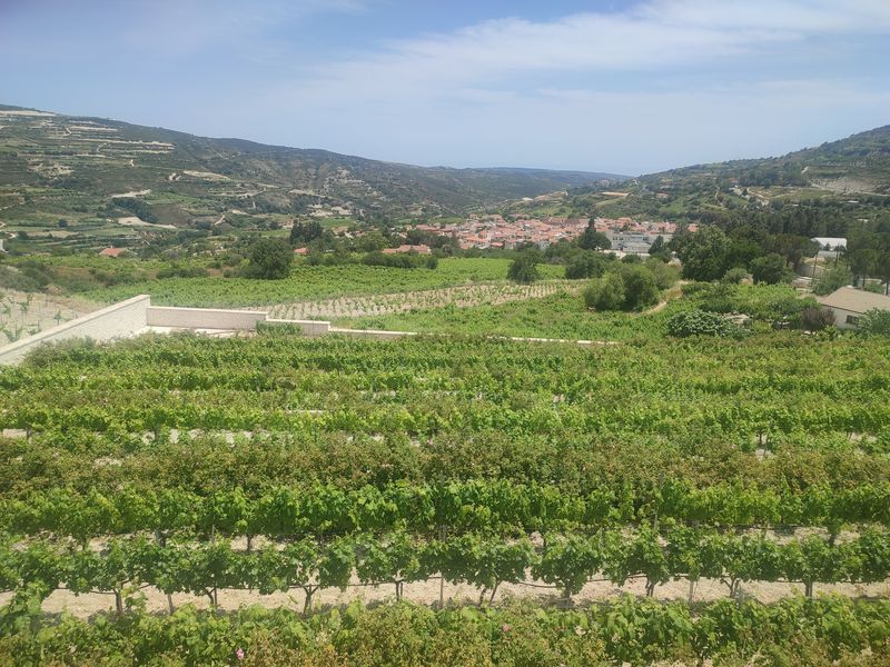 Omodos Village and Kelephos Bridge Walking Tour from Ayia Napa Protaras