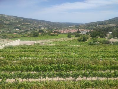 Omodos Village and Kelephos Bridge Walking Tour from Ayia Napa Protaras