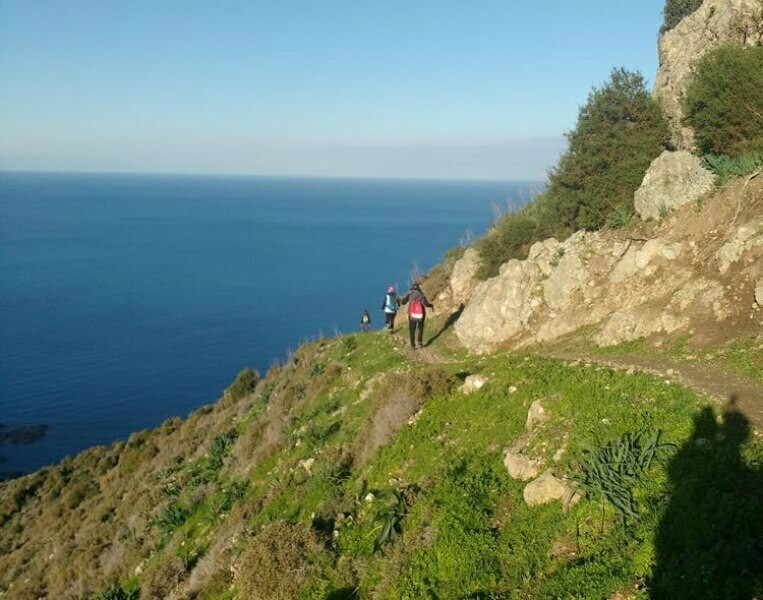 Akamas Panorama Walking Tour from Limassol, Paphos, Nicosia