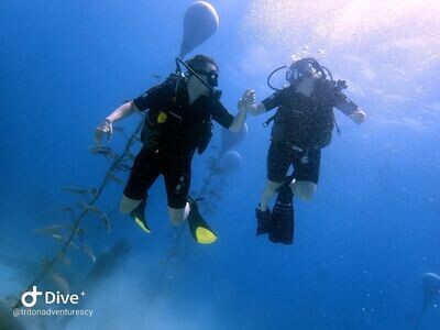 Discover Scuba Diving at MUSAN Ayia Napa