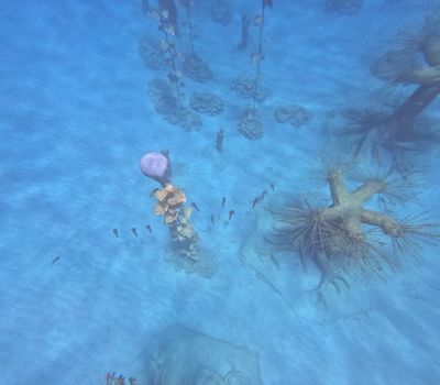 Discover Scuba Diving at MUSAN Ayia Napa