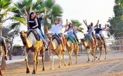 Lefkara Village Donkey Farm and Camel Park from Larnaca