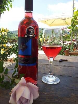 Limassol Omodos Village and Winery Tour from Larnaca