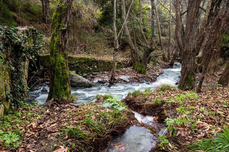 Kakopetria Village and Troodos Walking Tour from Larnaca