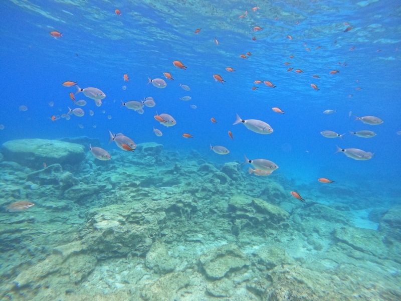 Green Bay Snorkelling trip from Protaras