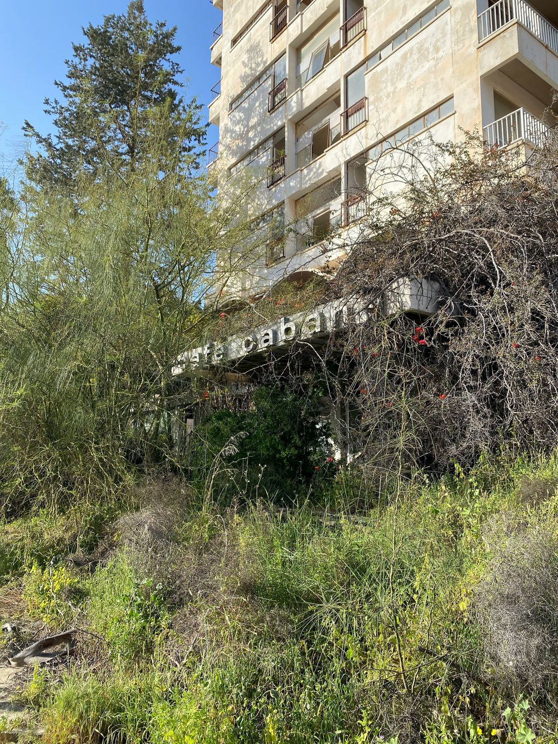 Ancient Salamis and Varosha Ghost Town Private Tour from Ayia Napa Protaras