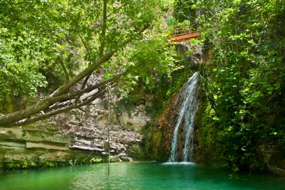 Aphrodite's Rock and Adonis Baths Private Tour from Larnaca
