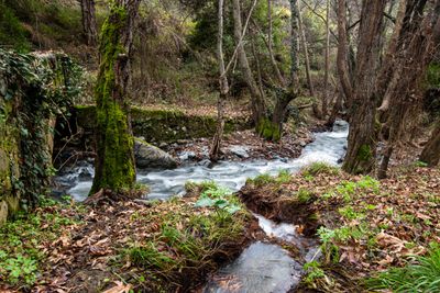 Kakopetria Village and Troodos Walking Tour from Limassol