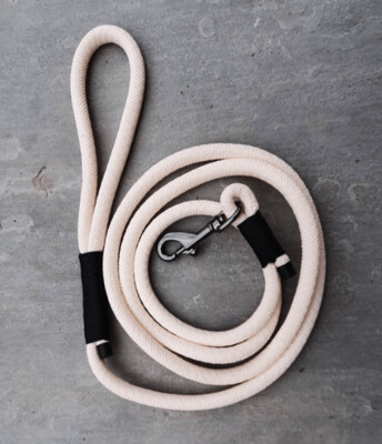 Cream rope dog lead with black binding
