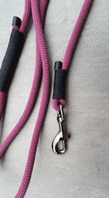 Purple rope lead - chrome clip