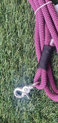 Purple rope lead - silver clip