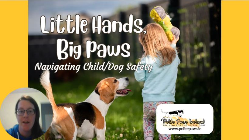 Little Hands, Big Paws! Child/Dog safety webinar