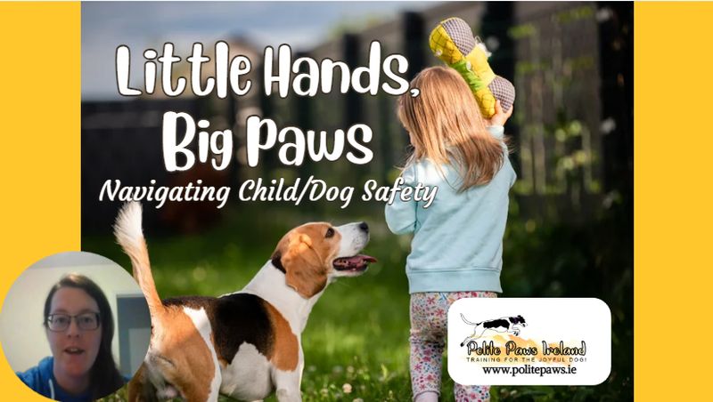 Little Hands, Big Paws! Child/Dog safety webinar Little Hands, Big Paws! Child/Dog safety webinar