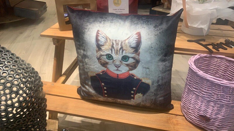 Coussin