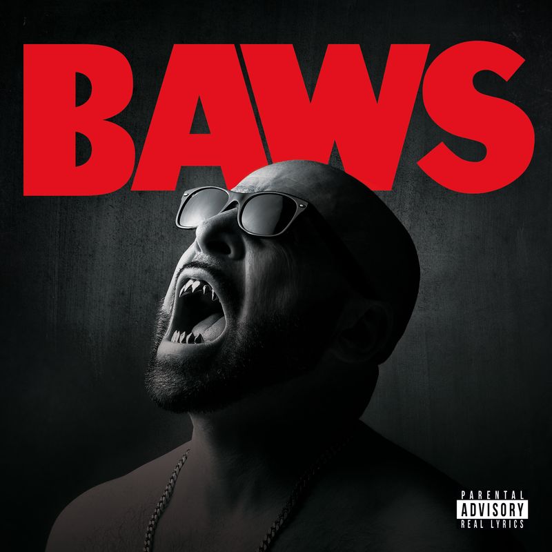 Album vinyle BAWS 33 Tours