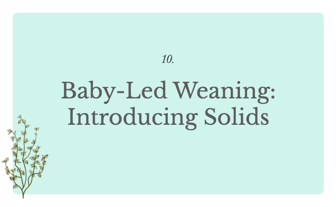 Baby-Led Weaning: Introducing Solids