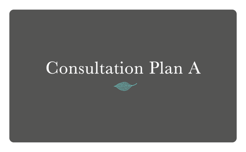 Consultation Plan A